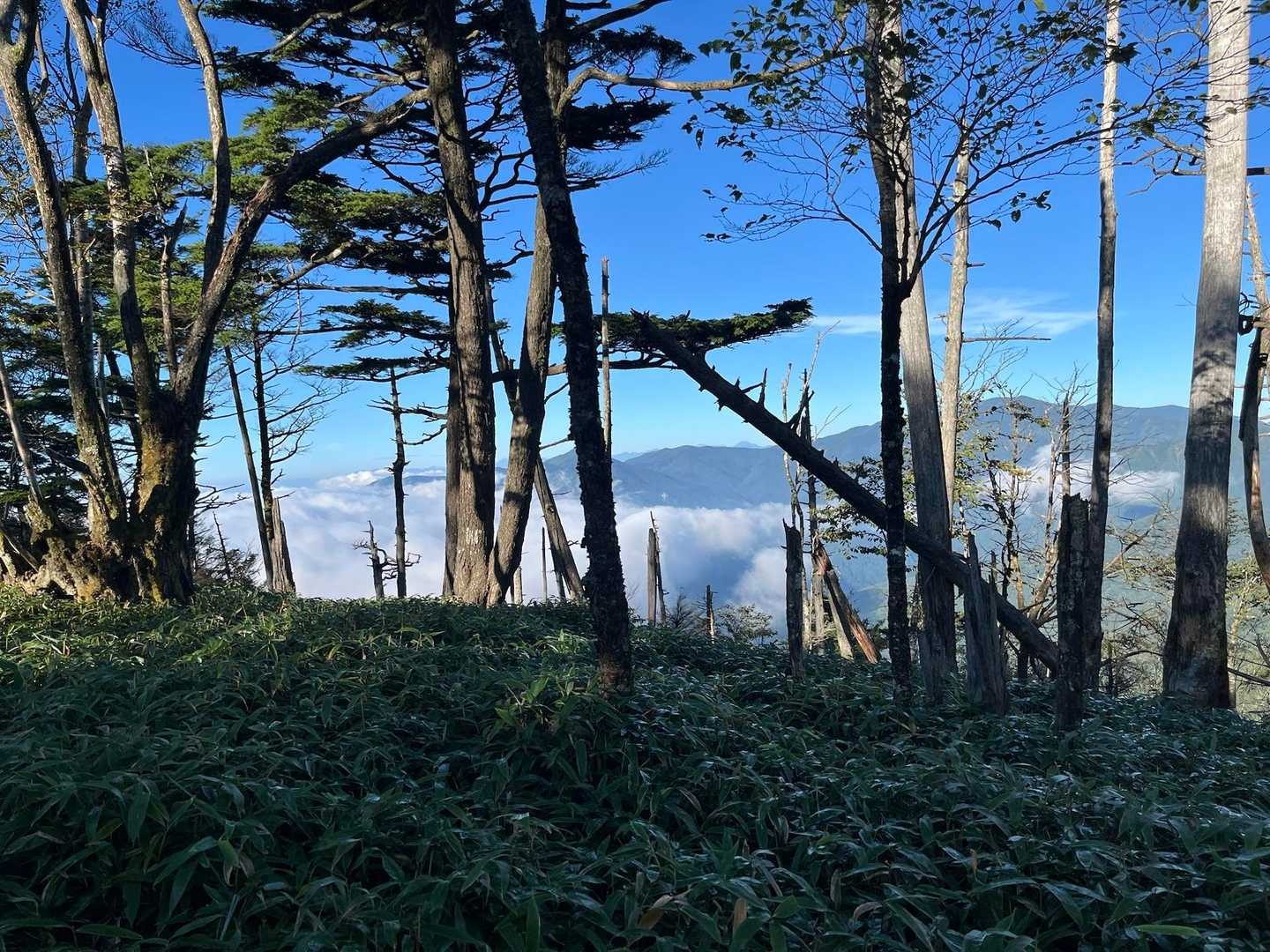 で、早速、雲海のお出迎え