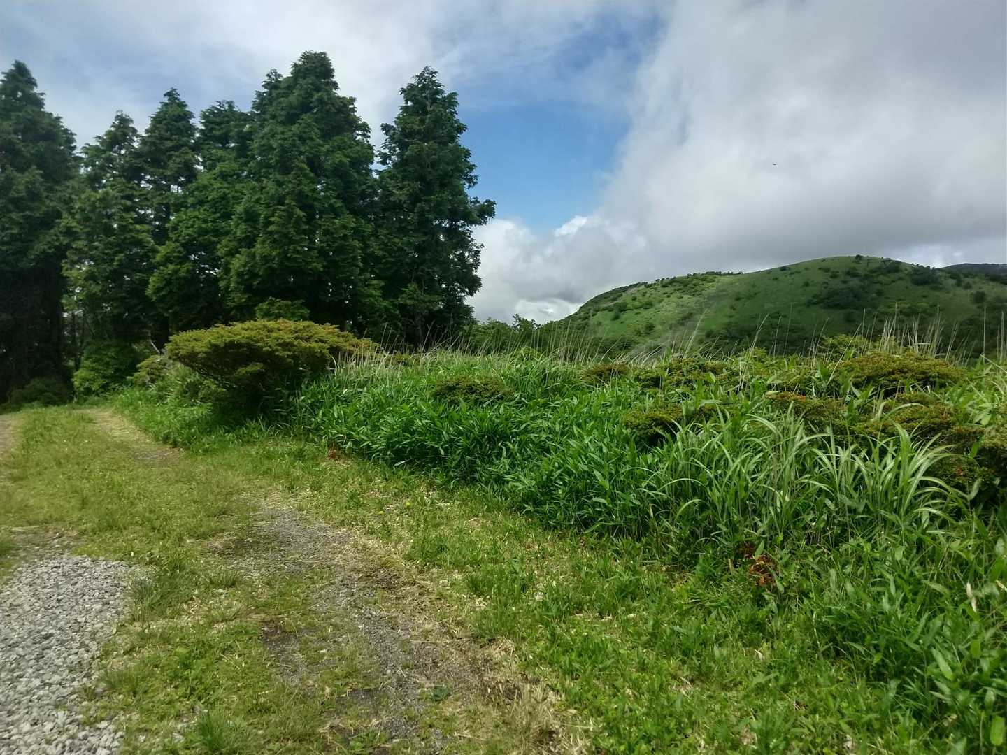 青空♪
