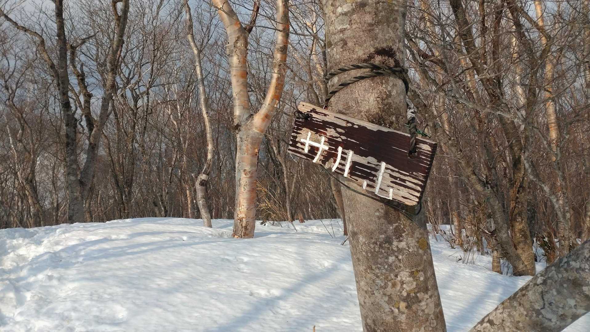 サル山山頂通過🪧