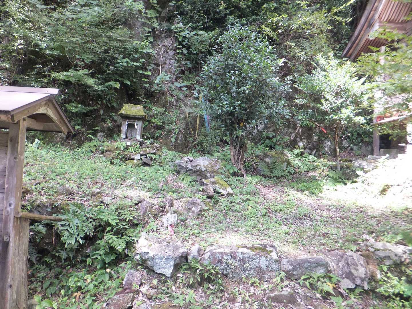 ここが登山道
この時既にサングラスを落としていた
帰りは階段を降りるのでサングラスよサヨナラ😣💦⤵️