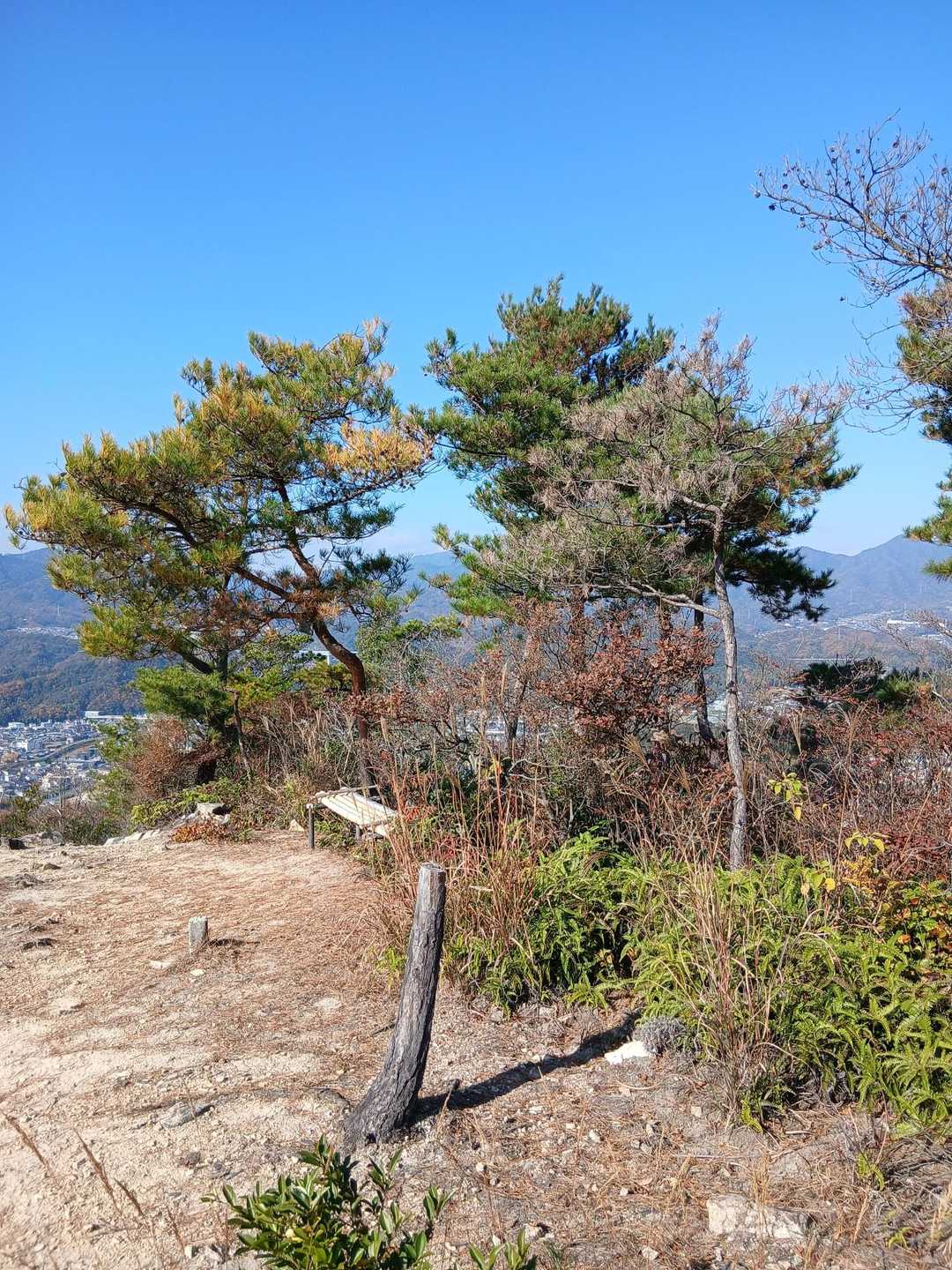 新井口駅-憩いの森入口-鈴ヶ峰-鈴ヶ峰-鈴ヶ峰登山口 縦走コースの写真