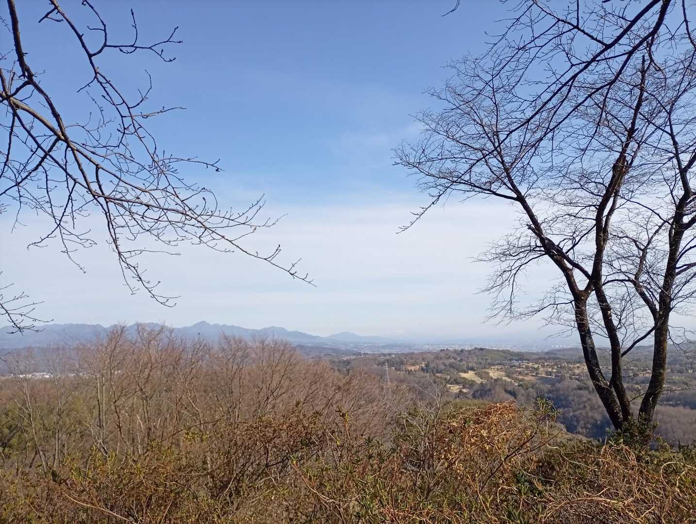 崇台山 往復コースの写真