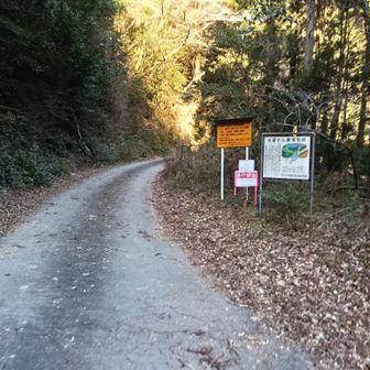 駐車場からのルート
