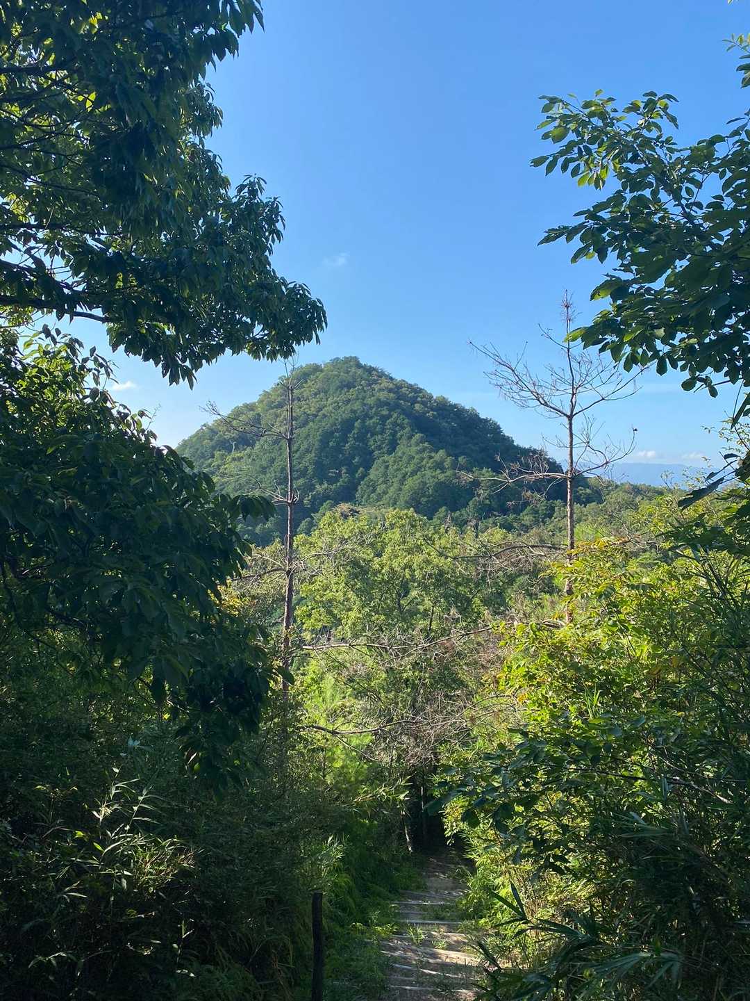 しばらく歩を進めた先に、有馬富士が観える⛰️