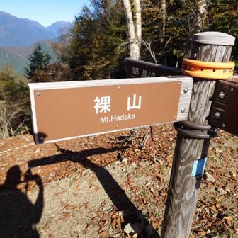 裸山のピークも取ります