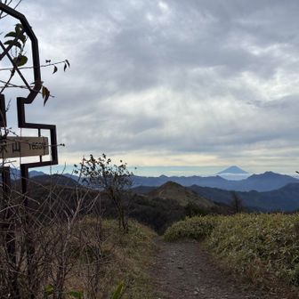 平沢山頂