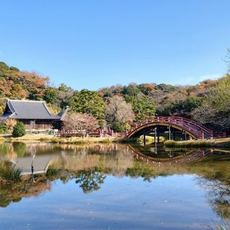 なんと、ステキなお庭と池✨
こんなところがウチの近所にあったら、用がなくても毎日ウロウロしちゃいそう😍