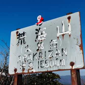 あー！は今月からクリスマス仕様🐥🎄
遠くを見るべく、看板へよじ登ります
何が見えるのー?