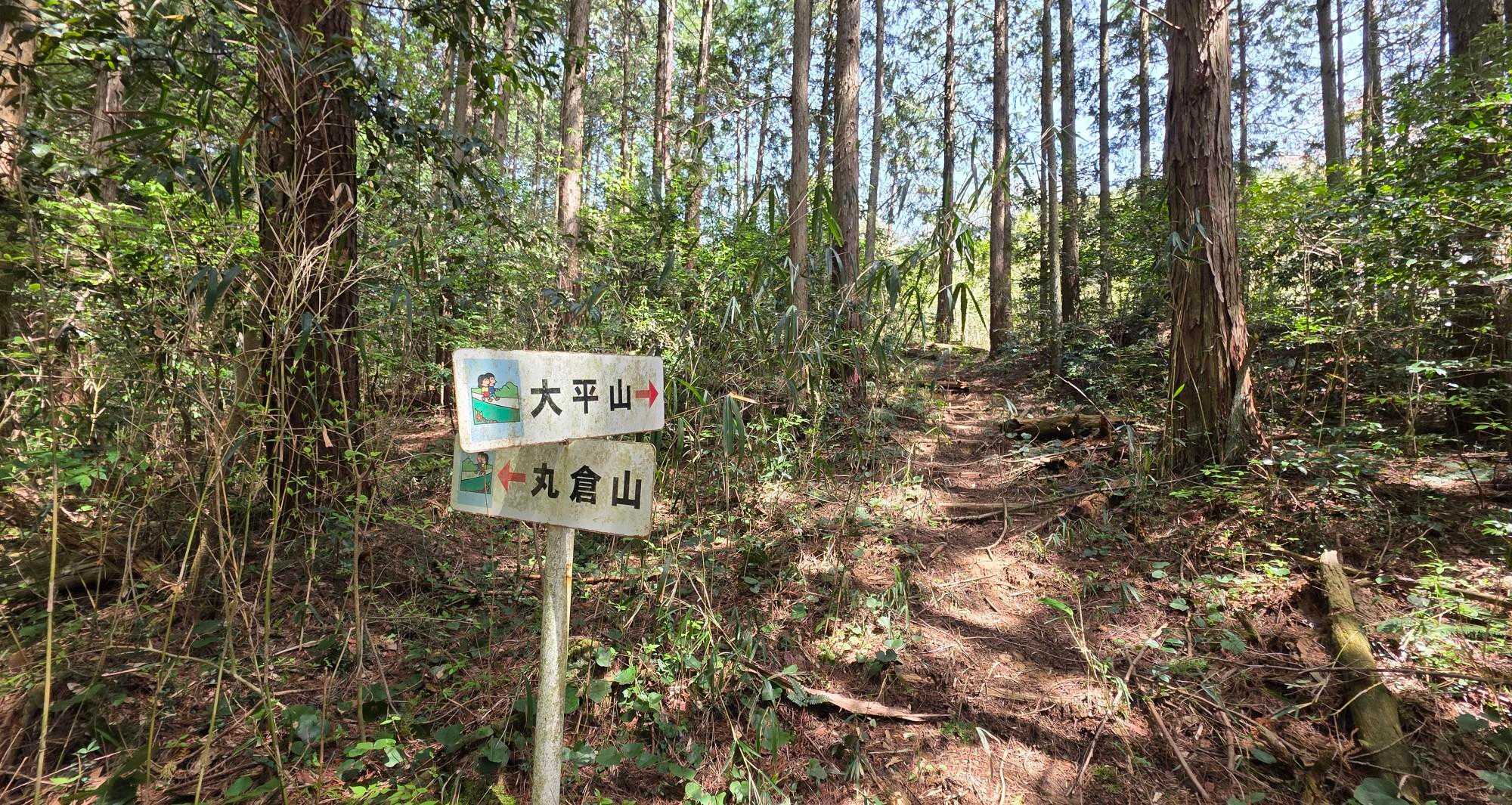 👉へ進みます🚶