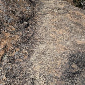 岩場は大好き😙