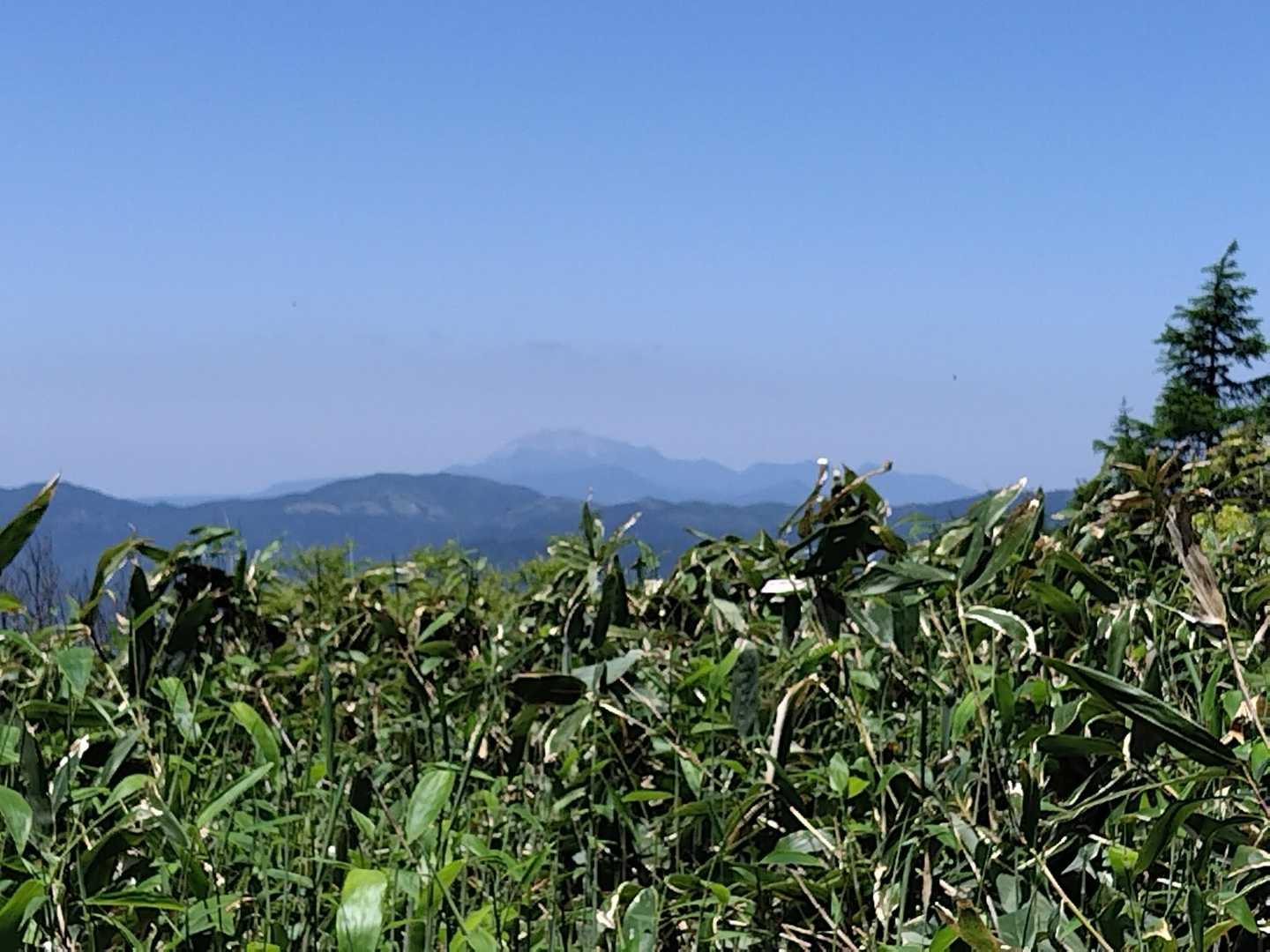大山も見えてます
ちょうどお昼時で数組の登山客さんが休憩しておられます