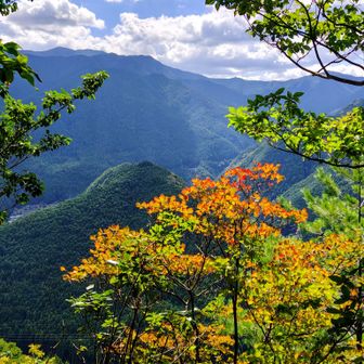 途中開けた眺望がありました✨️

うっすら紅葉も色づき始めてます🍂

吉野大峰方面の紅葉 今月中頃から来月初旬頃にかけて楽しみですね🍂

又写真を撮りに来たいと思ってます📲🙂