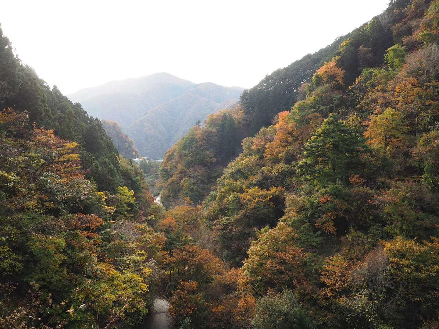 舗装路を登ってきた
こちらは晴れてない感じ💦