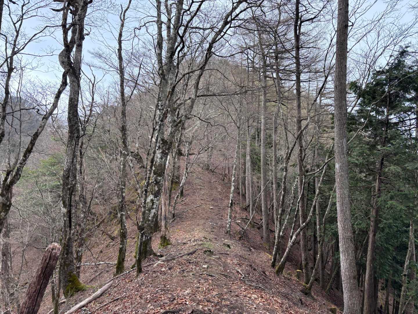 天目山へ稜線繋げる