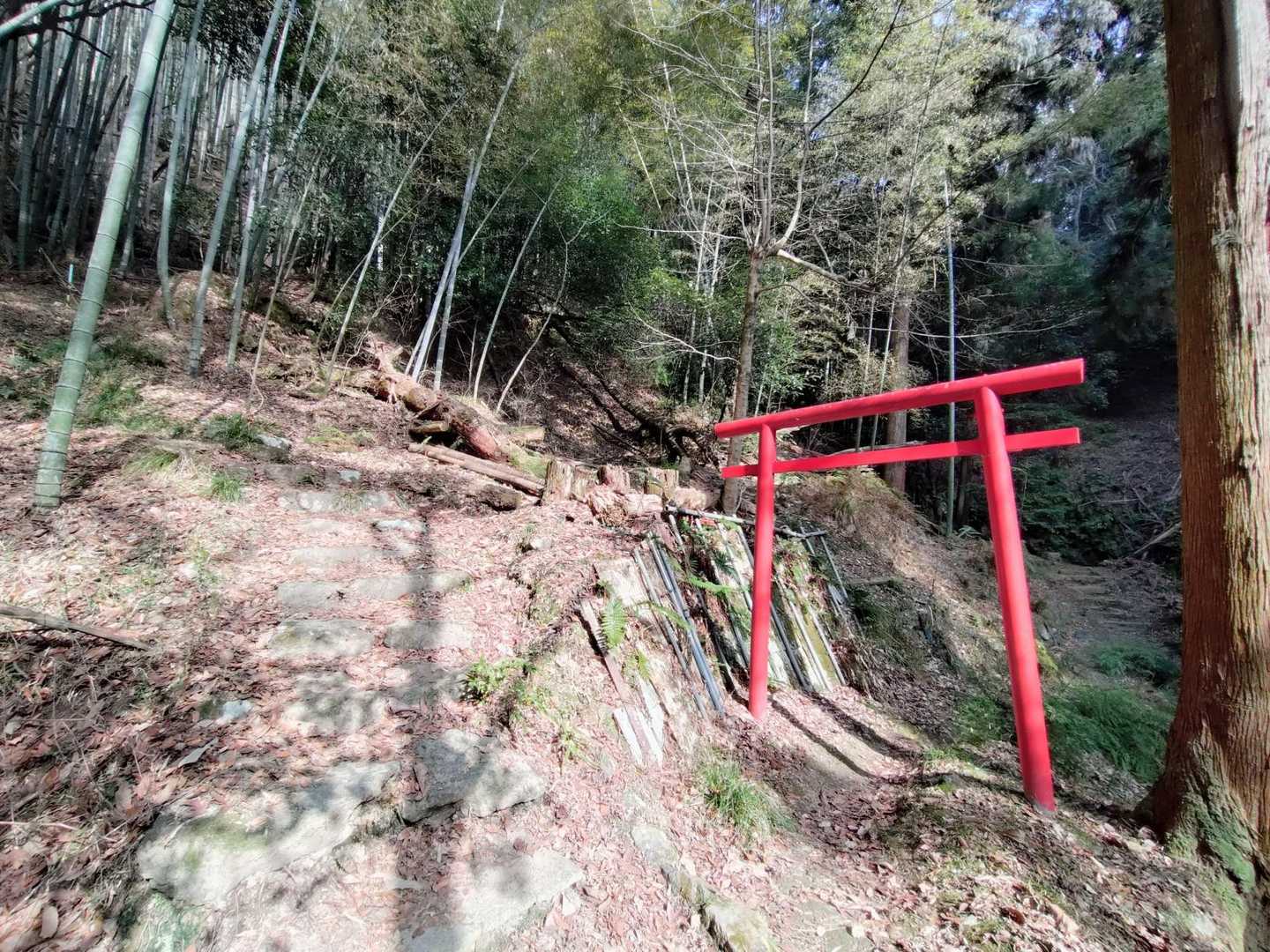 赤い鳥居があり、先へ進むと…