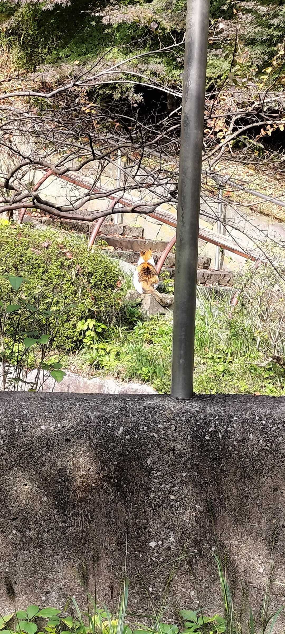 降りる階段のとこで別のスポンサーを待つ様子😗