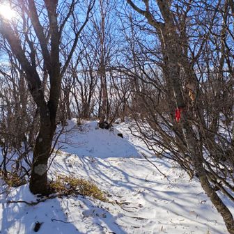 トレースがありませんが先行者一人分の足跡を辿ります