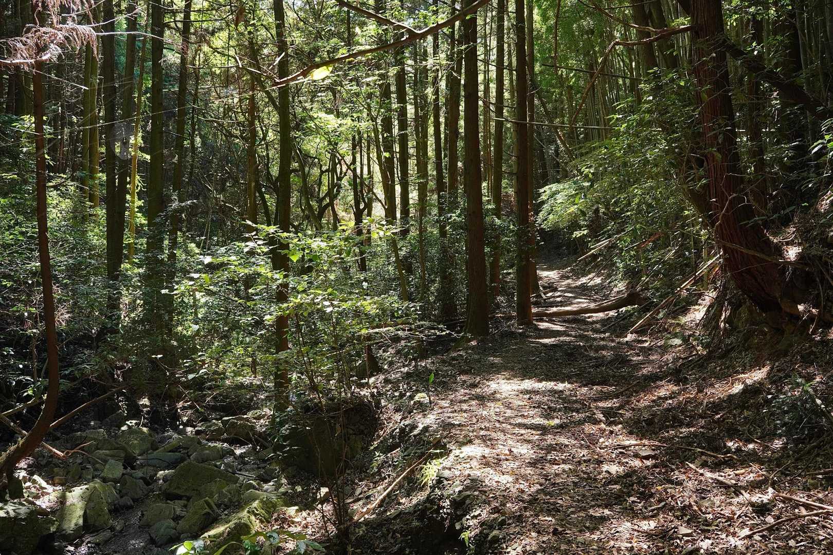尺岳 周回コースの写真