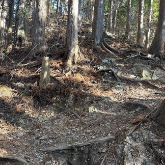 後半はこんな急登のアップダウンが続く…