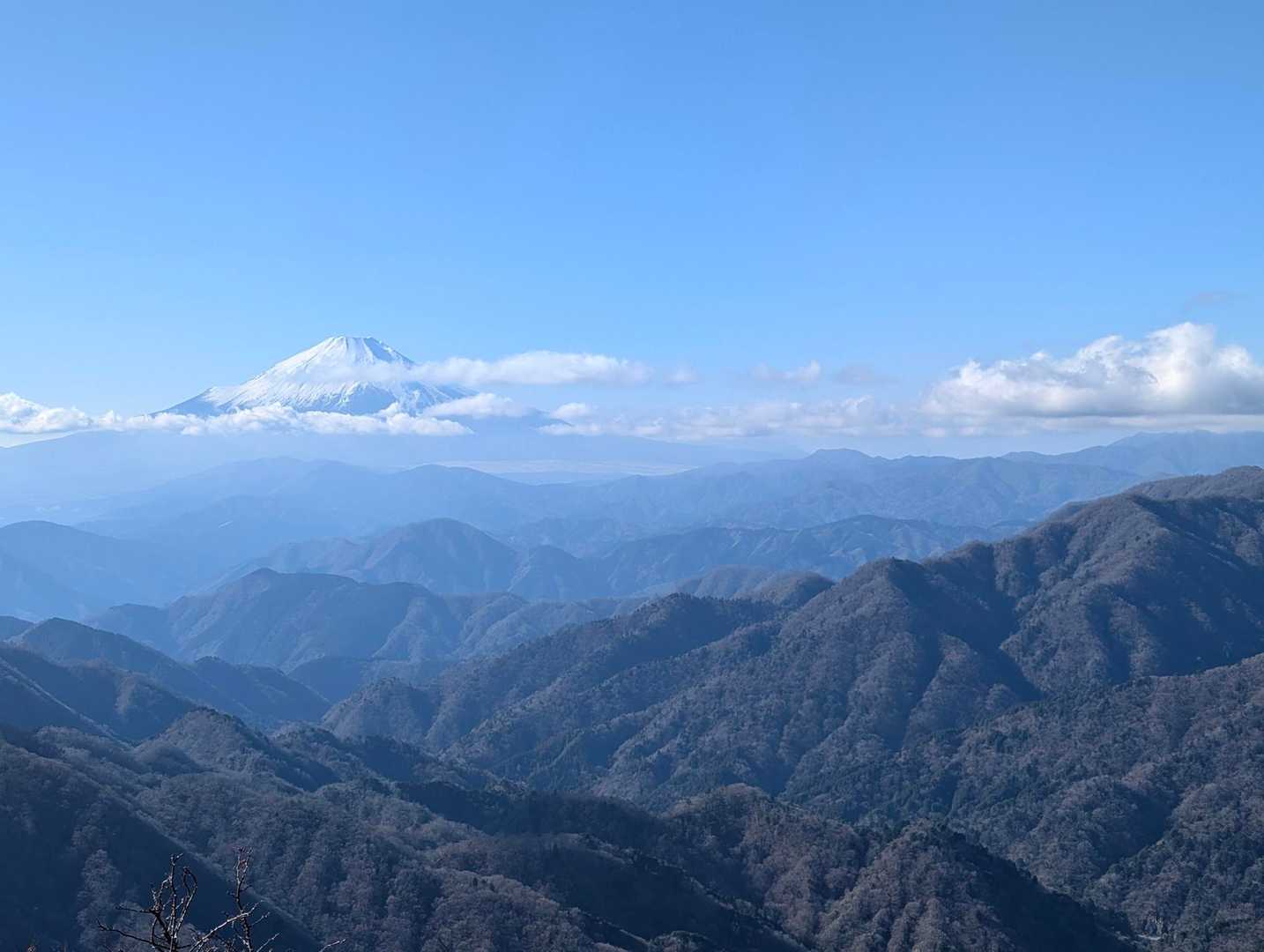 美しい…