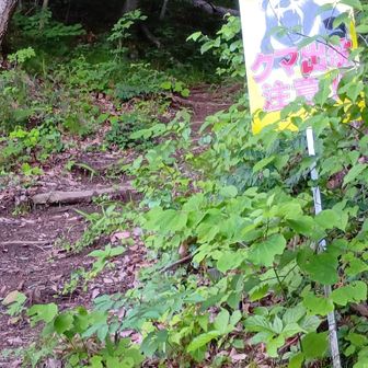 ここにも熊出没注意！
出会うことはありませんでした