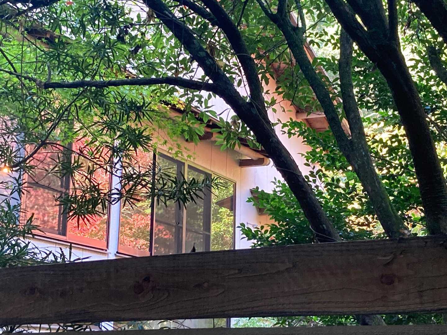 窓に映り込む紅葉
なかなか上手に撮れない...