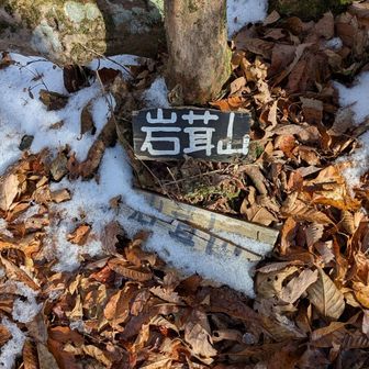 岩茸山
美味しいキノコでもあるのかな？
下山ルートを探すが分からず、
結局、よじ登った斜面を下りる。
