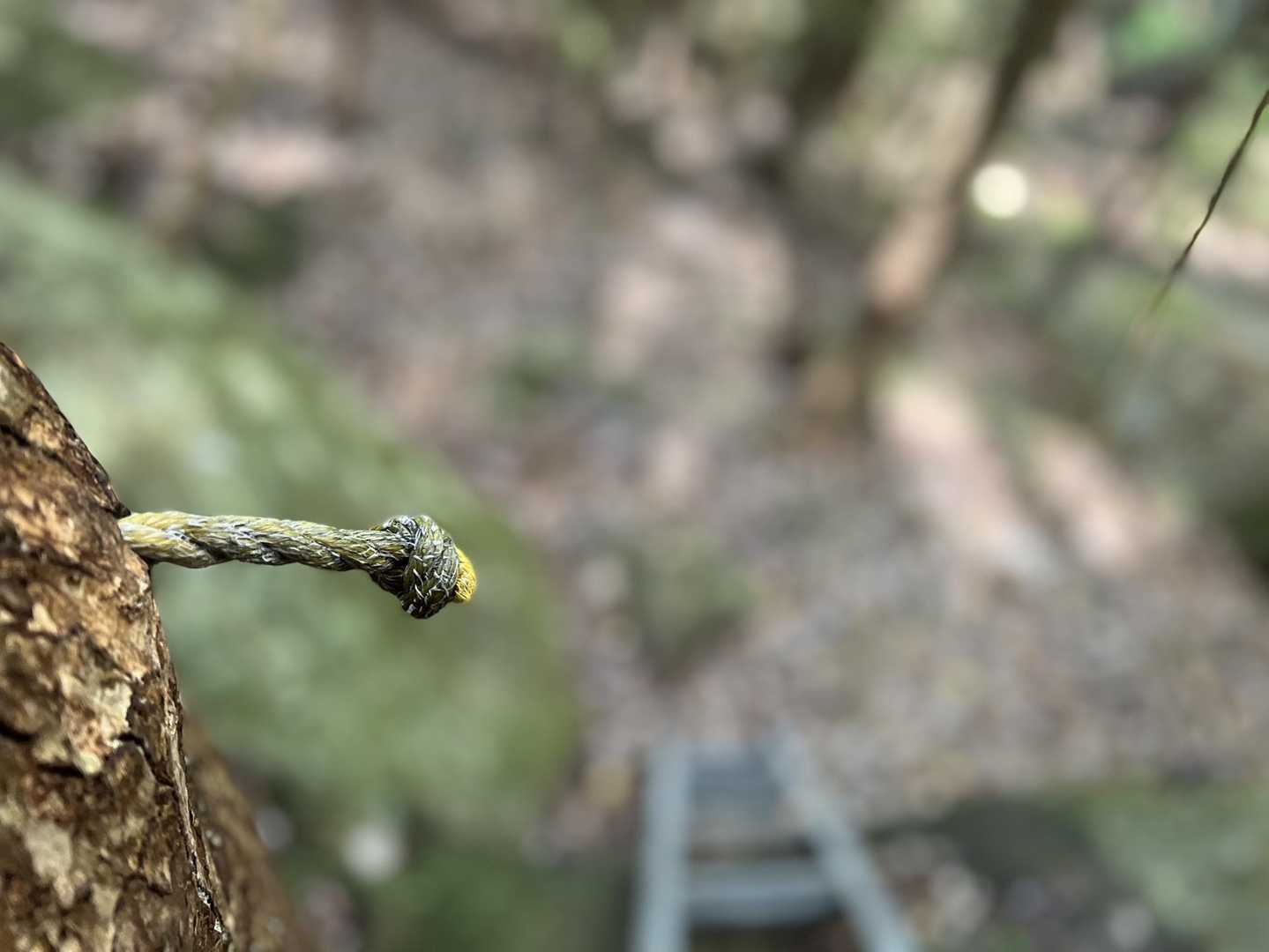 最強低山の呼び声高い、スリル満点の黒髪山定番コースの写真