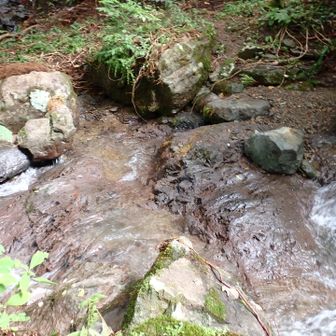 沢沿いに進む。
渡渉何回か。こんなに渡渉ってあったっけ。