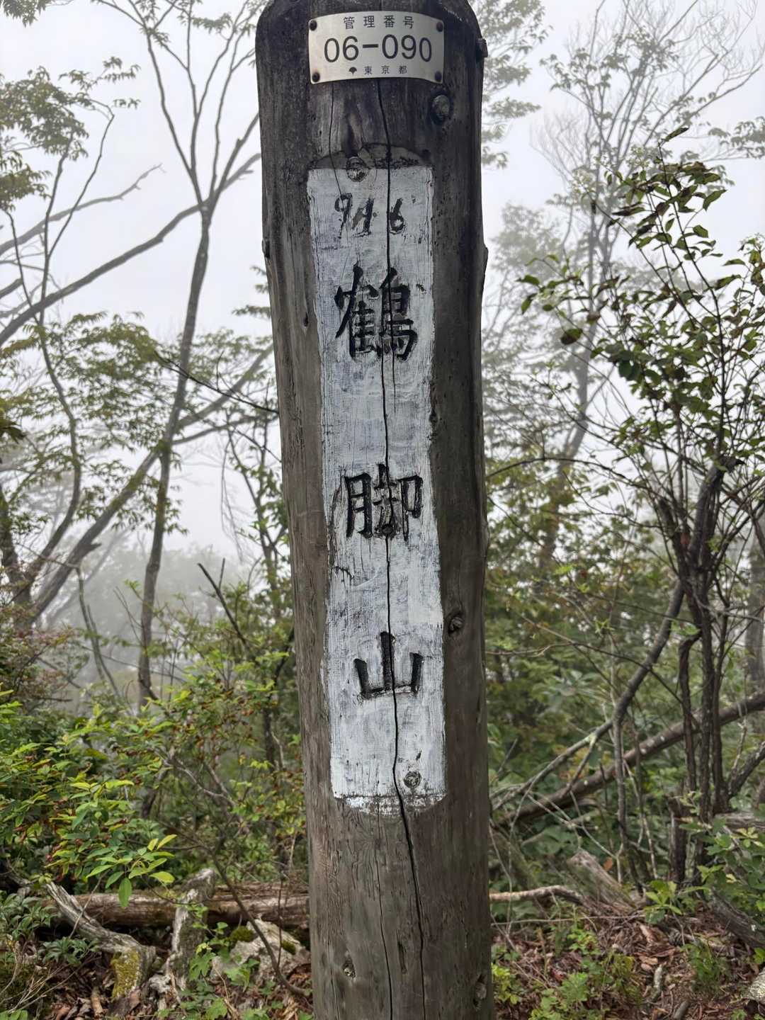 鶴脚山-馬頭刈山-高明山-長岳 縦走コースの写真