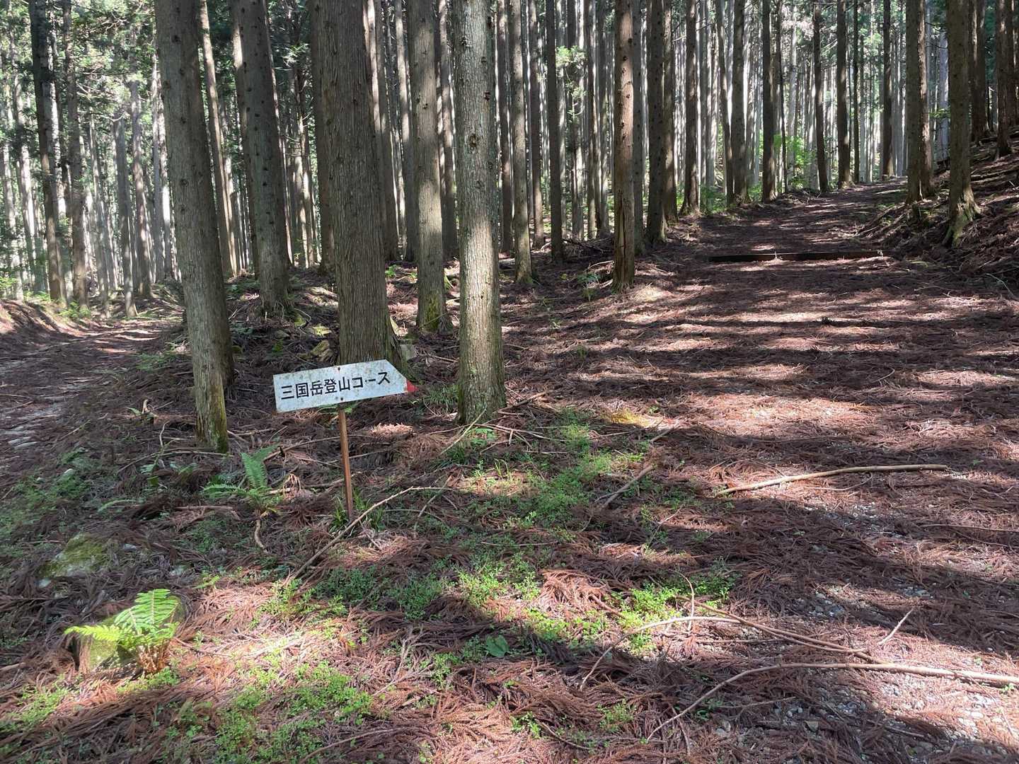 分岐点を右側に➡️