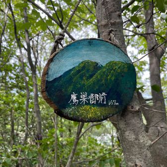きれいな絵