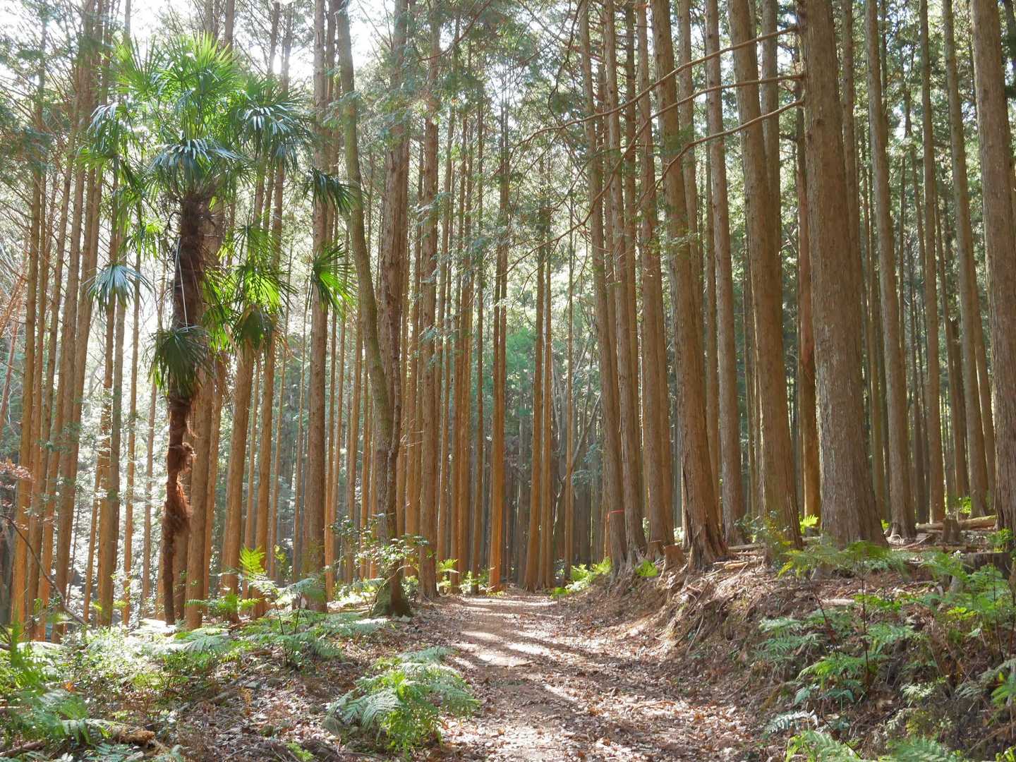 良い道、初めてのルートはドキドキ、ワクワク🎶