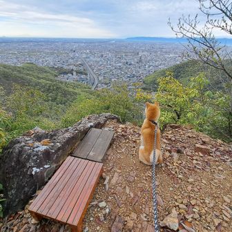 いつもの見晴台にて