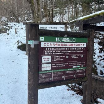 信大農学部を通過して桂小場登山口