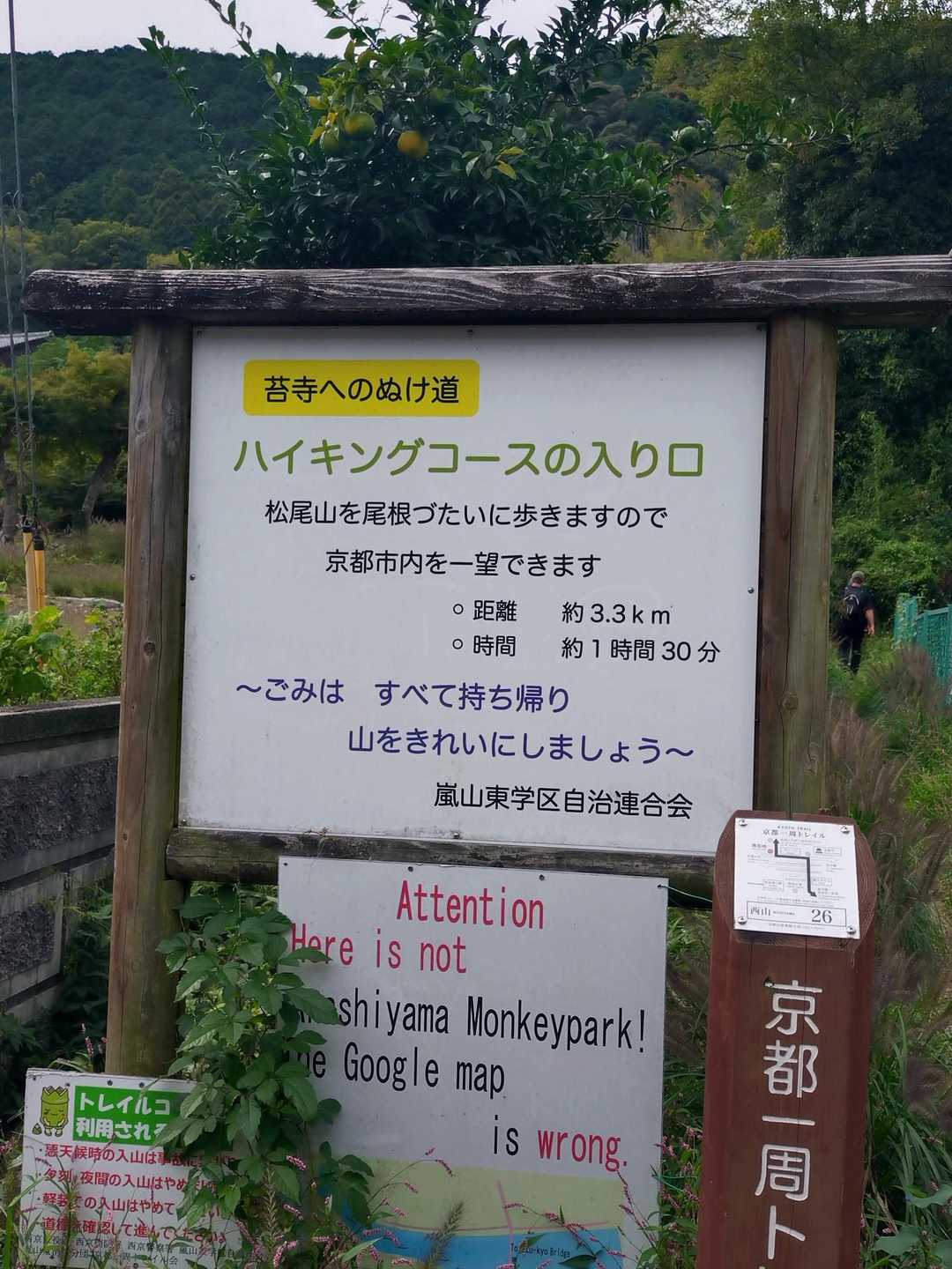 前回はトレイルの後のトドメの登山🤣
今回は登山からだったので
気持ちは楽だったかな😊