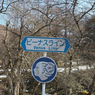 登山口はビーナスライン沿い。バス停もあって、関東方面からくる登山者が多いみたい。「あずさ」に乗ったら日帰り圏内らしい。