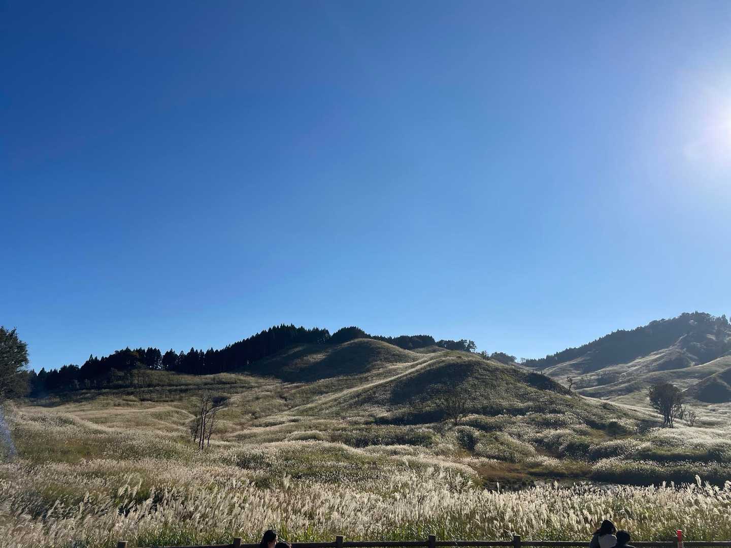 砥峰高原ハイキングコース入口-砥峰登山口-砥峰 周回コースの写真