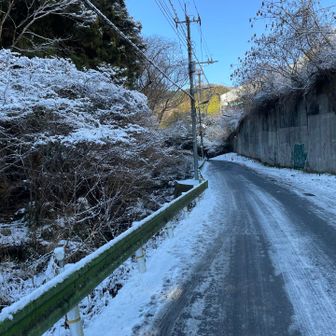 小仏バス停に向かう途中