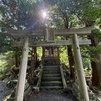 集落外れにあった山神神社⛩️ 名前が気になってお参りしてきょうの無事に感謝🙏 写真を撮ると太陽の光が神々しく現れました✨