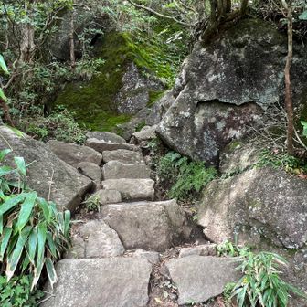 蛇紋岩は滑る🪨