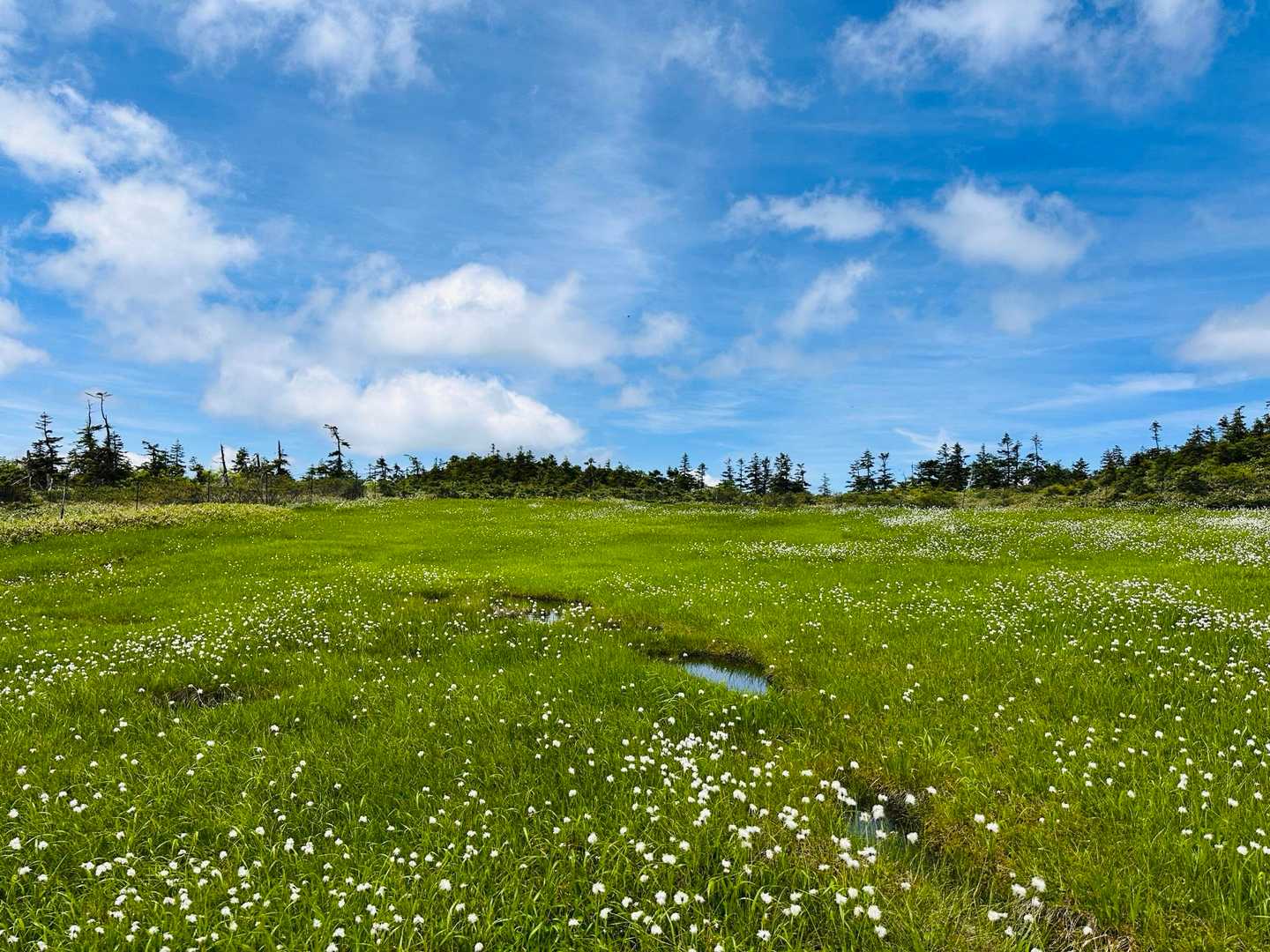 鳩待峠-至仏山-山ノ鼻 周回コースの写真