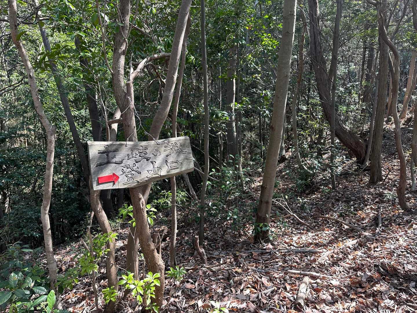 YAMAPでは、土岐城山だけど地元の人は土岐の城　と呼ばれているそう。