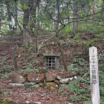どうやら25個あるらしい
結局3つくらいしか見てない