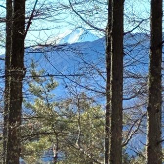 ビックリ🫢富士山🗻です