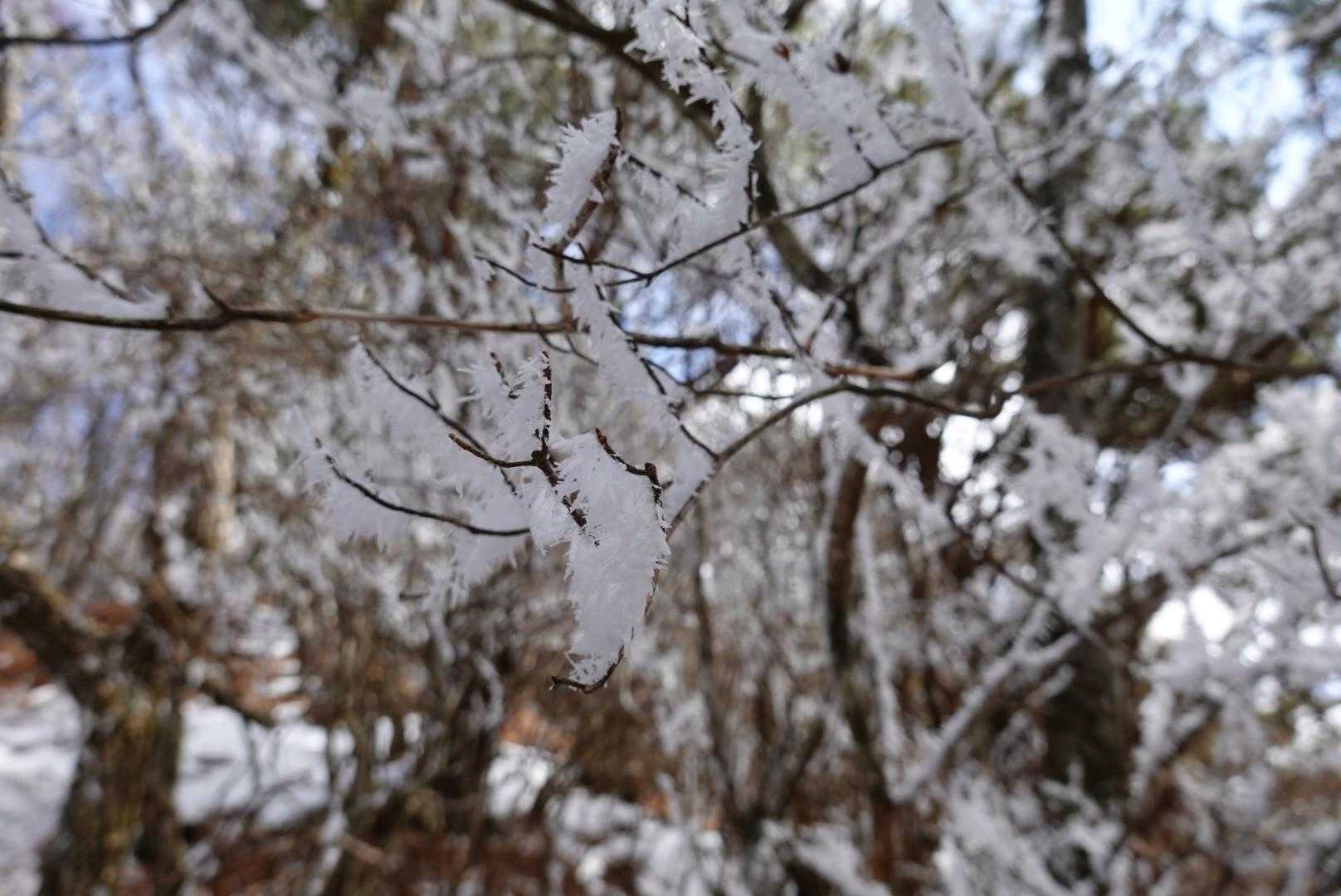 綺麗、綺麗😊