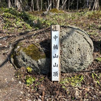 続いて中楯山登頂ー！