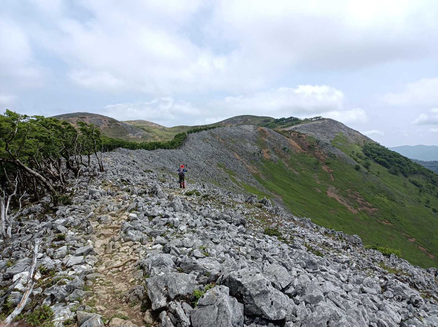 今畑登山口-笹峠-霊仙山最高点 往復コースの写真