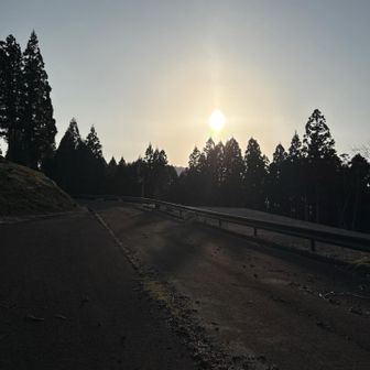 ギリ セーフ！  必死で歩いた 💦