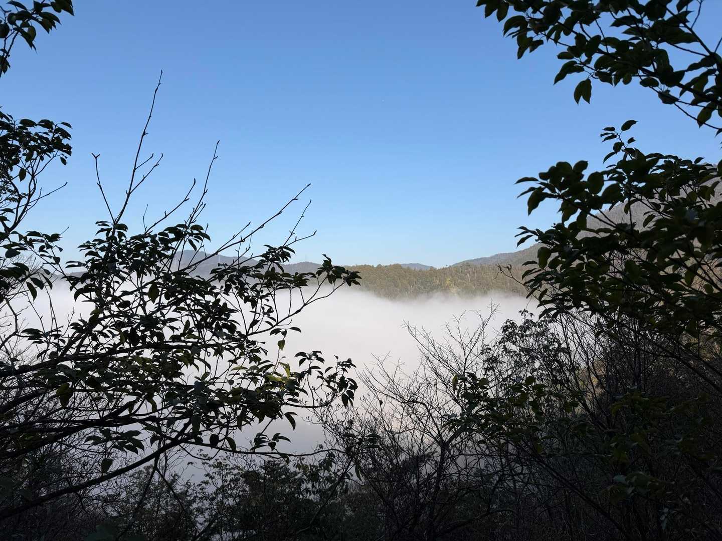 雲海です！